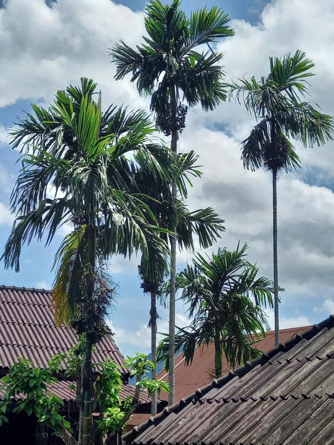 Vang Vieng Queen'S- Mountain View Hotel エクステリア 写真